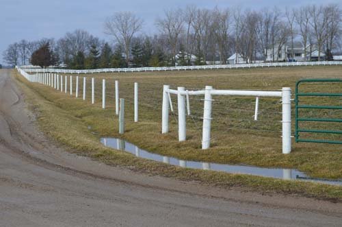 Property photo 80 - 98+/- Acres Offered in 6 Tracts or Combinations, Noble County, Indiana Farm